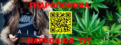 PSILOCYBIN Краснознаменск