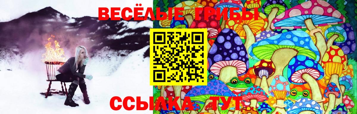 Псилоцибиновые грибы Magic Shrooms  Вход с VPN  Камышин  закладки  Псилоцибиновые грибы мухоморы 